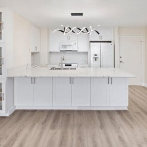 Full House Remodeler San Diego Full House Remodeling,Full House Remodeling In San Diego,Full-House Remodeling Full House Remodel by Sheiner Construction in San Diego - Kitchen